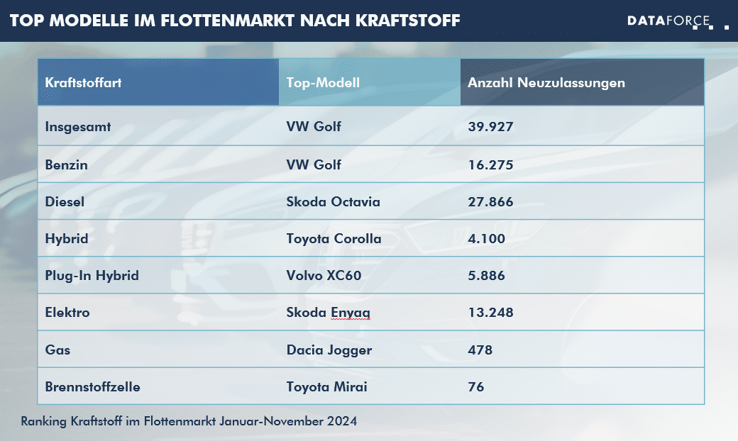 infografik ranking kraftstoff 2024 Top Modelle im Flottenmarkt nach Kraftstoff