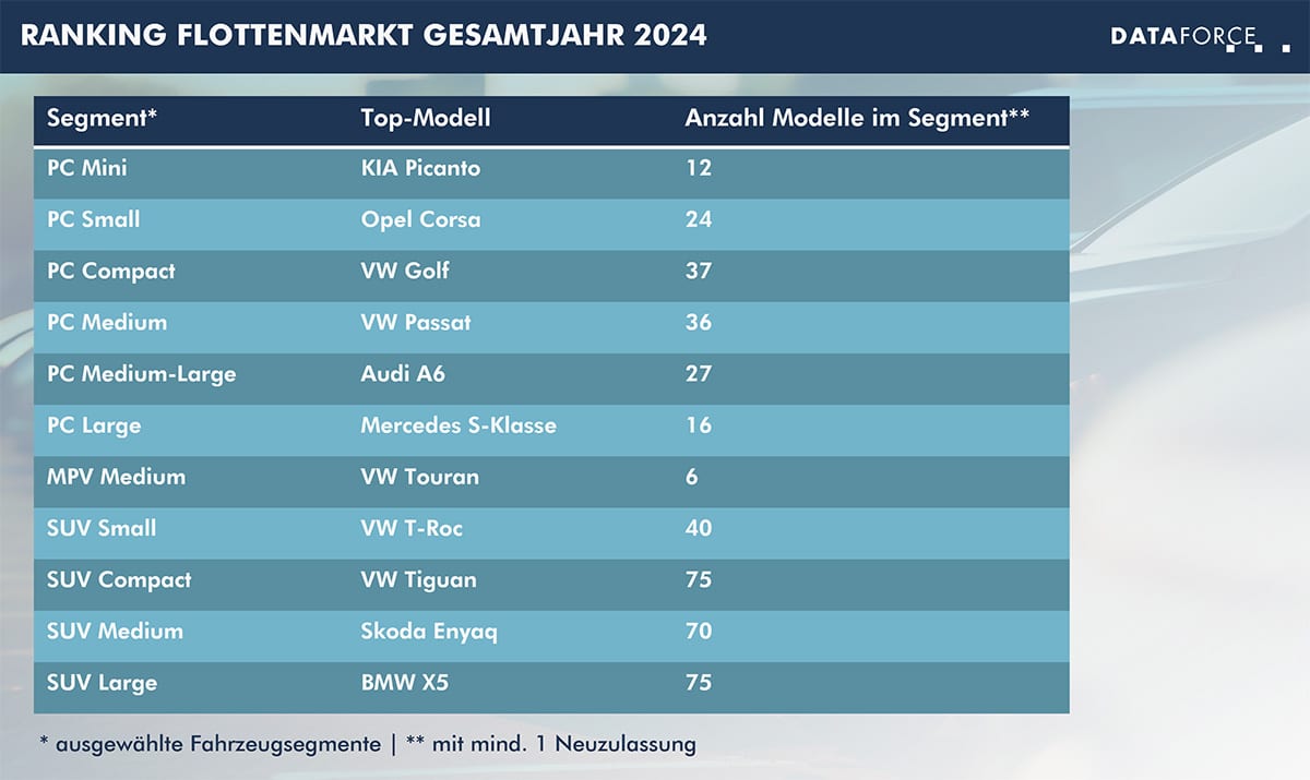 infografik-flottenmarkt-gesamtjahr-2024-web