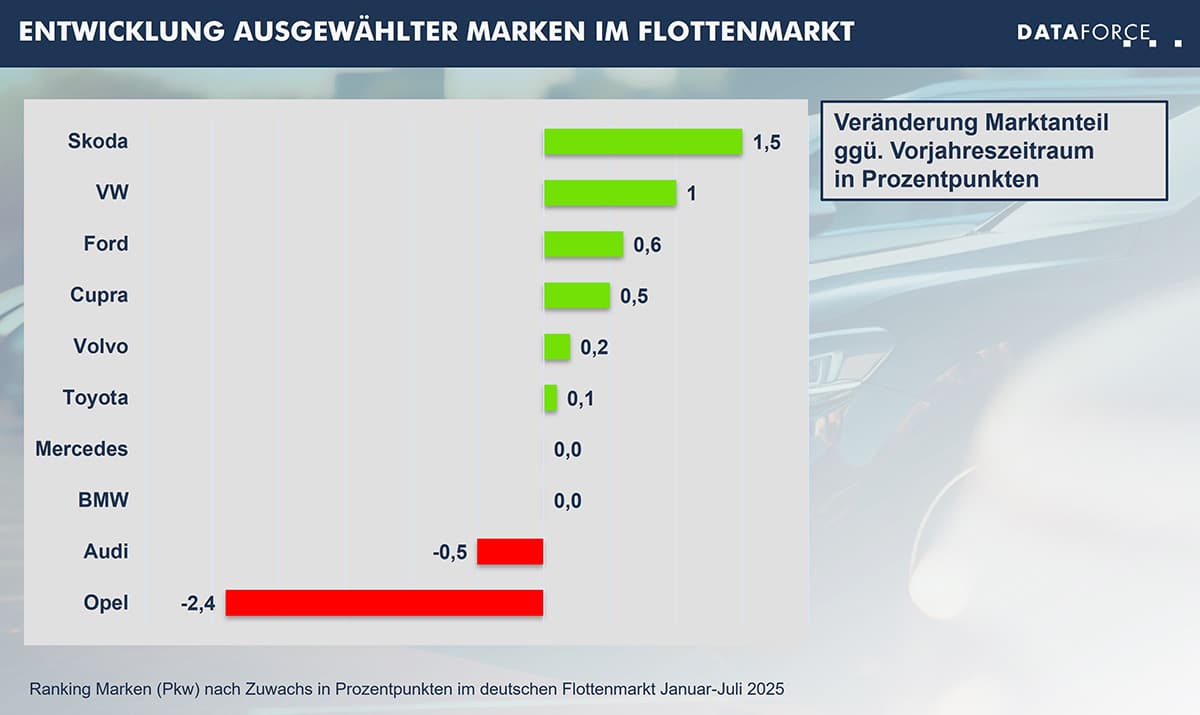 infografik-entwicklung-der-marken-web Entwicklung der Marken im Flottenmarkt Jan-Juli 2025