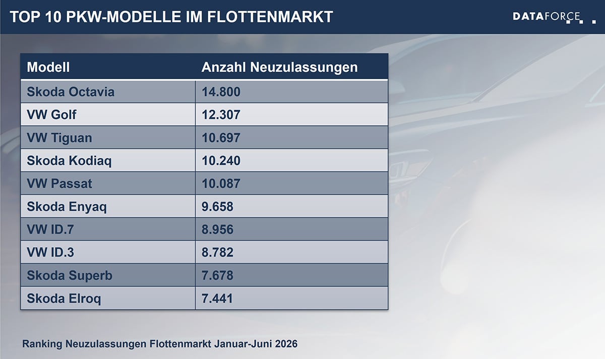 Top 10 Pkw Modelle Jan - Jun 2026