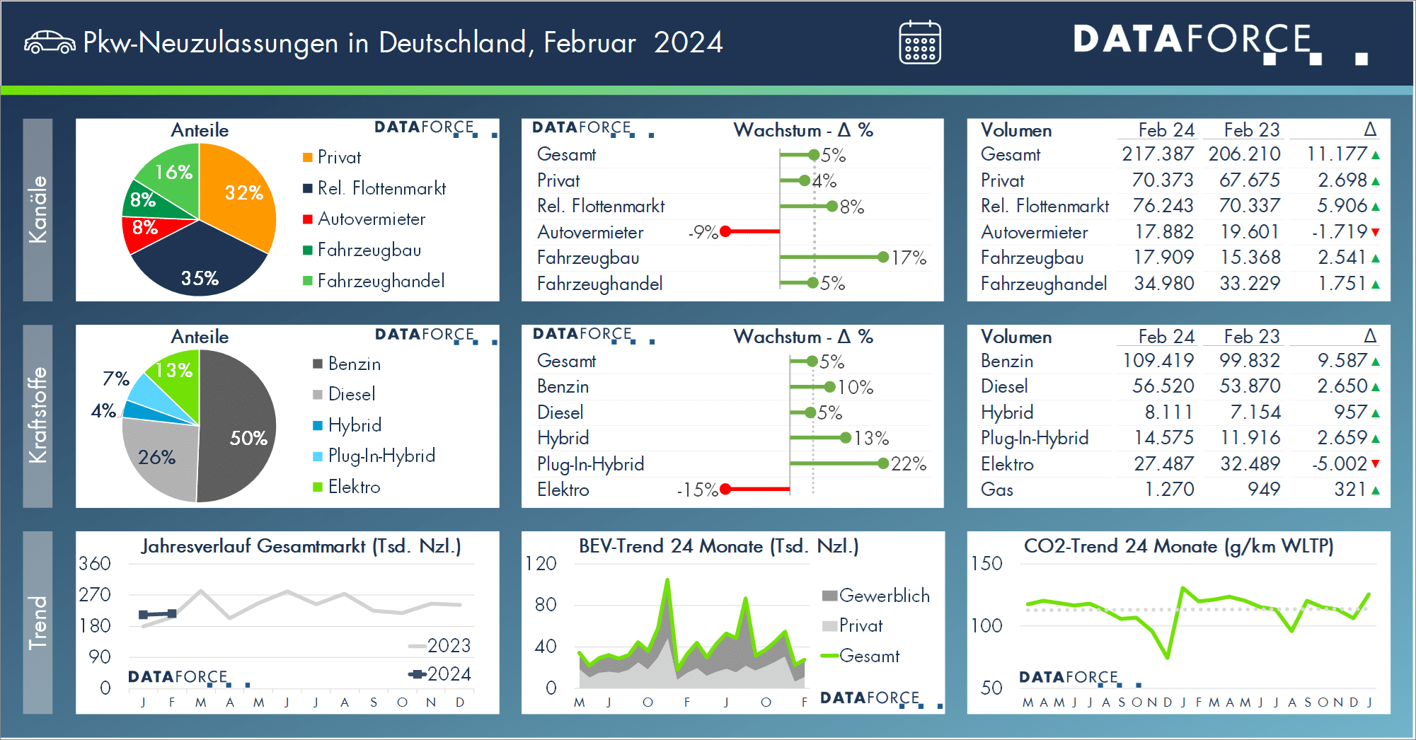 Dataforce Infografik 5er Split PKW