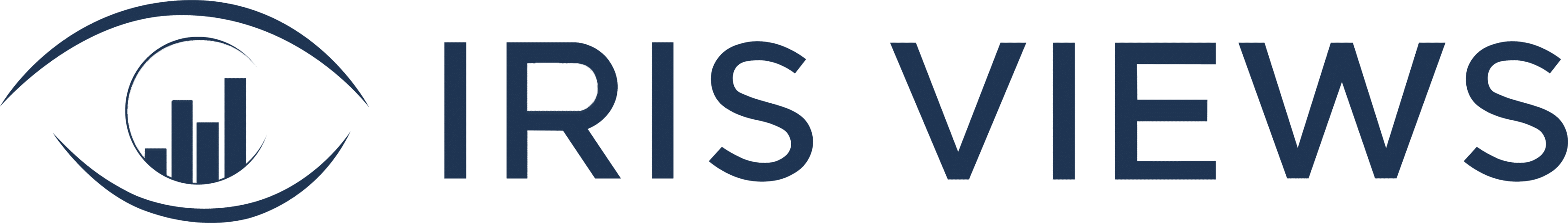 Dataforce IRIS VIEWS Logo